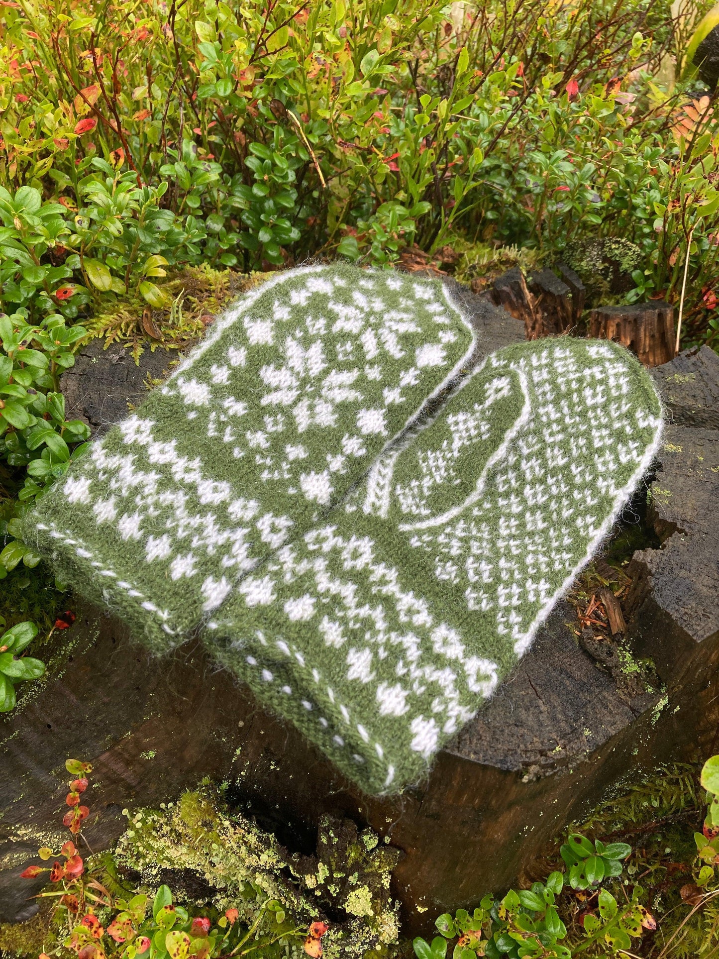 Eielandsvotten - Strikkedrøm